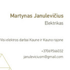 Martynas Janulevicius