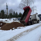 Erikas