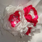 Dalia