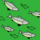 Mantas Kasparavicius