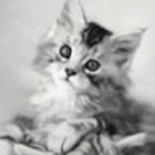 Renata Jurevičiūtė Renata Jurevičiūtė