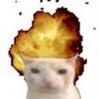 Elze miau