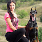 Елена Дрыгола