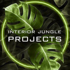 INTERJERO PROJEKTAI/DIZAINAS