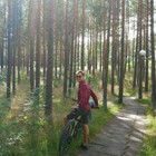 Domas Baliukonis