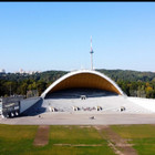 Živilė Živilė