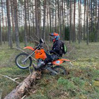 Mindaugas Kanapeckas