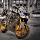 Margiris Jokubauskas