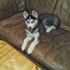 Jolanta Skurdauskienė Jolanta Skurdauskienė