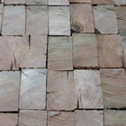 Statybų ir apdailos  meistras