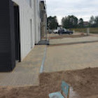 DAINIUS RUIBAVICIUS