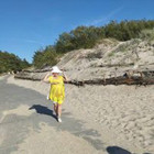 Danutė Dinikienė
