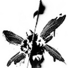 Valerijus Stapulionis