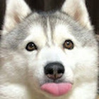 Paulina Lukoseviciute