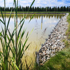 Paslaugų teikėjas