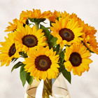 Modesta Praniauskiene