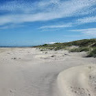 Jovita Peceniuk Jovita Peceniuk