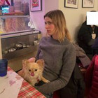 Jogailė Jogailė