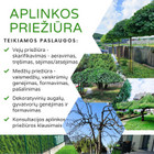 Paslaugų teikėjas