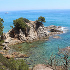 Dominykas Miržinskas