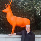 Algimantas Cerniauskas