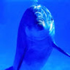 Gintautas Rukšėnas