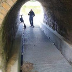 Albertas Vasiliauskas