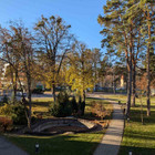 Arnoldas Sip Arnoldas Sip