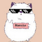 Игровой канал Hamster