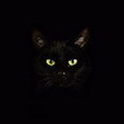 Živilė Čiučiurkaitė