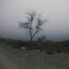 Rusnė Dominyka Šimulynaitė