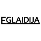 Paslaugų teikėjas