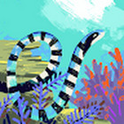 aleksandra mazeikaite