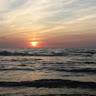Dovilė J