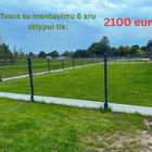 Šarūnas