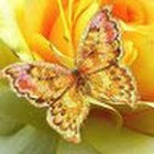 Danutė Bruzdielinienė