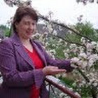 Violeta Mezginiene