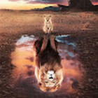 Rimantas Strazdauskas