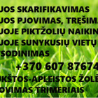 Paslaugų teikėjas Paslaugų teikėjas
