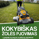Vytautas Giniotas