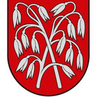 Ilona Ilona