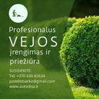 Paslaugų teikėjas