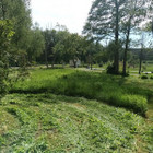 Paslaugų teikėjas