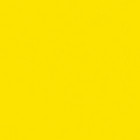 Dainius  Bagdonavičius