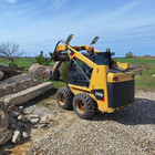 Cat- Bobcat