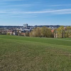 Neringa Valatkė