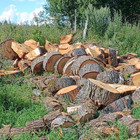 Paslaugų teikėjas