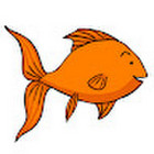 GoldFish Box