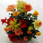 Verutė Janauskienė