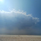 Rusne Baltrušaitytė